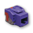 CAT 6 MODULE PURPLE - PAM Distributing Co