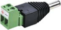 SeeStation POWER PLUG 2.1MM DC PLUG - PAM Distributing Co
