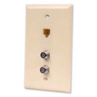 PLATE,RJ11,2 F-81,IV - PAM Distributing Co